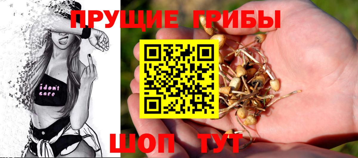 закладки  Псилоцибиновые грибы мухоморы  Вход с VPN  Мелеуз 